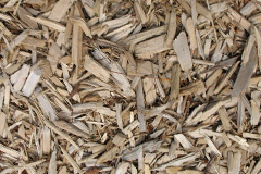 biomass boilers Radlith